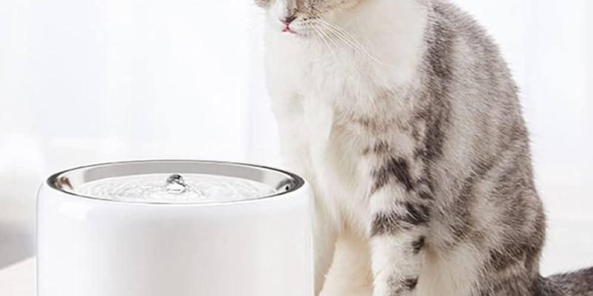 Can Pawtechpet's Intelligent Water Dispensers Improve Pet Care